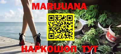 винт Новозыбков